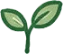 真ん中の芽